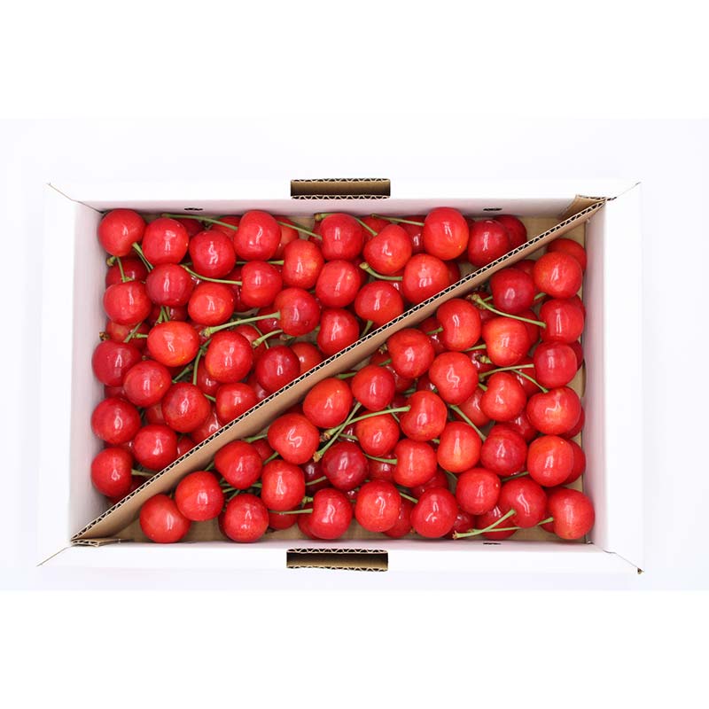 【ふるさと納税】 【令和8年産先行予約】 さくらんぼ 「佐藤錦または紅秀峰」 約1kg (秀 M以上) バラ詰め 《令和8年6月中旬～発送》 『南陽中央青果市場』 サクランボ 果物 フルーツ 山形県 南陽市 [2582] サムネイル2