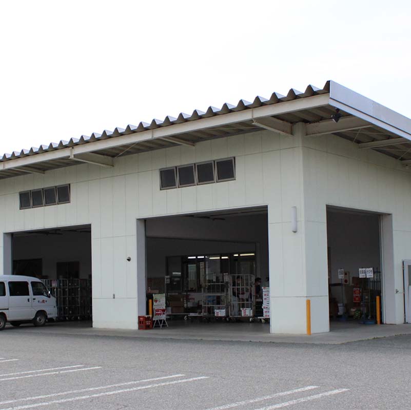 【ふるさと納税】 【令和8年産先行予約】 《定期便3回》 種無し大粒ブドウ 定期便 《令和8年8月中旬～発送》 『南陽中央青果市場』 葡萄 ぶどう ブドウ 高尾 シャインマスカット ピオーネ 果物 フルーツ デザート 山形県 南陽市 [2586] サムネイル3