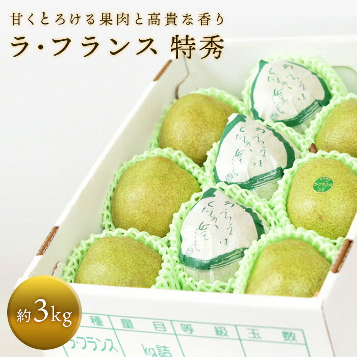 【令和7年産先行予約】 十三代目 佐藤市右衛門 ラ・フランス 約3kg (7～10玉 特秀 3～6L) 《令和7年11月上旬～発送》 『旬の果実 佐藤市右衛門農園』 ラフランス 西洋梨 洋なし 果物 フルーツ デザート 山形県 南陽市 [677]