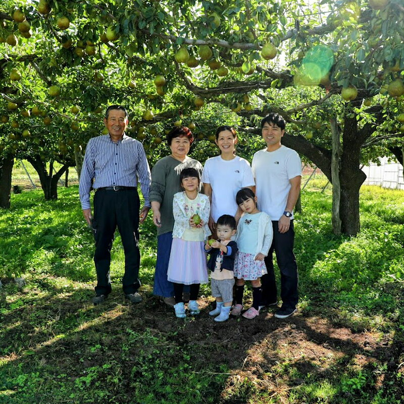 【ふるさと納税】 【令和7年産先行予約】 十三代目 佐藤市右衛門 ラ・フランス 約3kg (7～10玉 特秀 3～6L) 《令和7年11月上旬～発送》 『旬の果実 佐藤市右衛門農園』 ラフランス 西洋梨 洋なし 果物 フルーツ デザート 山形県 南陽市 [677] サムネイル2