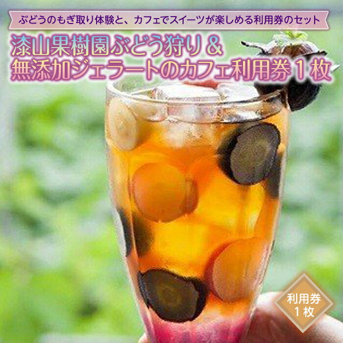 漆山果樹園 ぶどう狩り ＆ 無添加ジェラートのカフェ利用券 1枚 『漆山果樹園』 山形県 南陽市 [786]
