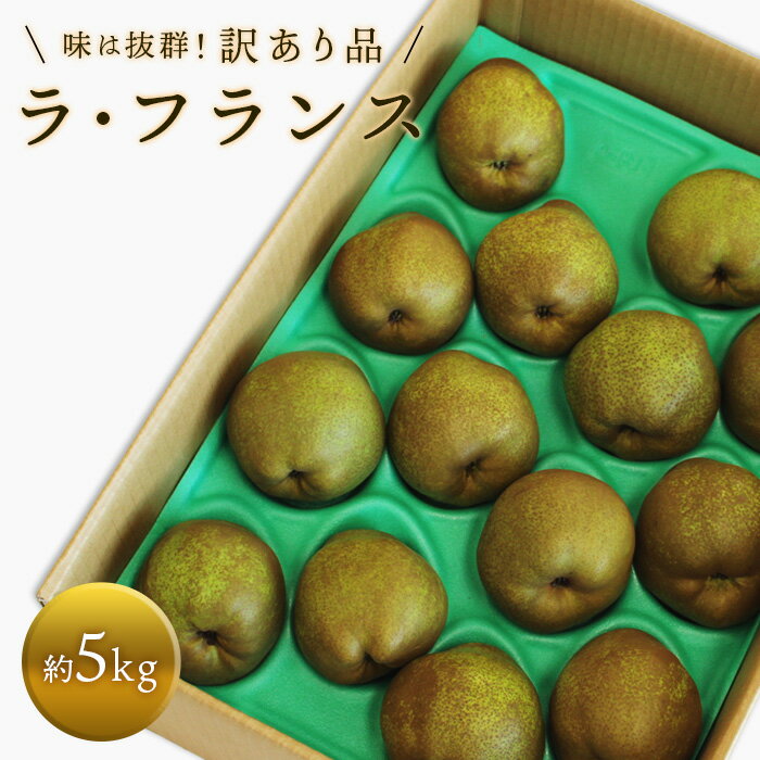 【令和7年産先行予約】 〈訳あり品 家庭用〉 ラ・フランス 約5kg (10～18玉 中～大玉) 《令和7年11月上旬～発送》 『旬の果実 佐藤市右衛門農園』 ラフランス 西洋梨 洋なし 訳あり 果物 フルーツ デザート 山形県 南陽市 [1047]