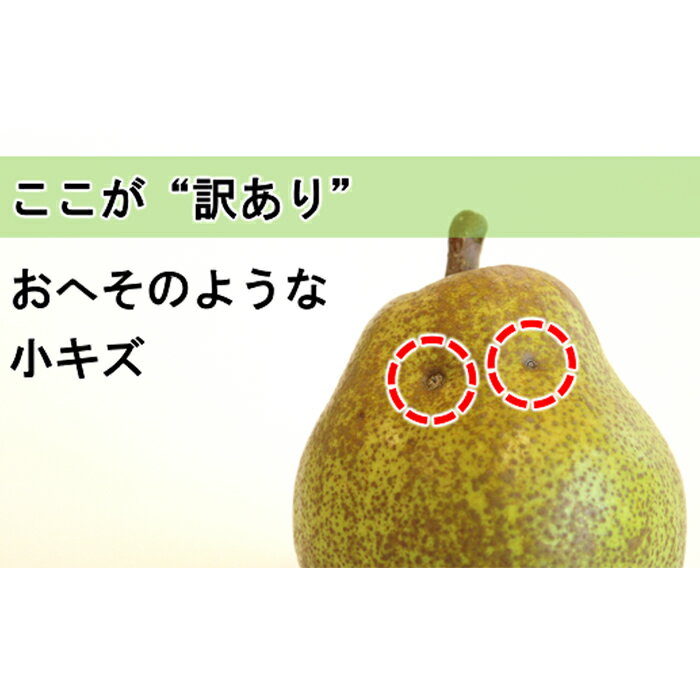 【ふるさと納税】 【令和7年産先行予約】 〈訳あり品 家庭用〉 ラ・フランス 約5kg (10～18玉 中～大玉) 《令和7年11月上旬～発送》 『旬の果実 佐藤市右衛門農園』 ラフランス 西洋梨 洋なし 訳あり 果物 フルーツ デザート 山形県 南陽市 [1047] サムネイル2
