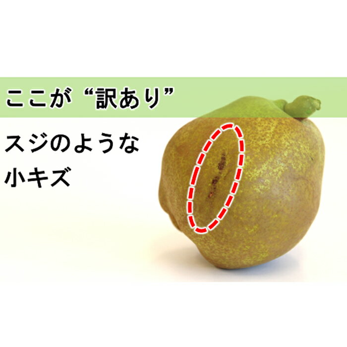 【ふるさと納税】 【令和7年産先行予約】 〈訳あり品 家庭用〉 ラ・フランス 約5kg (10～18玉 中～大玉) 《令和7年11月上旬～発送》 『旬の果実 佐藤市右衛門農園』 ラフランス 西洋梨 洋なし 訳あり 果物 フルーツ デザート 山形県 南陽市 [1047] サムネイル3
