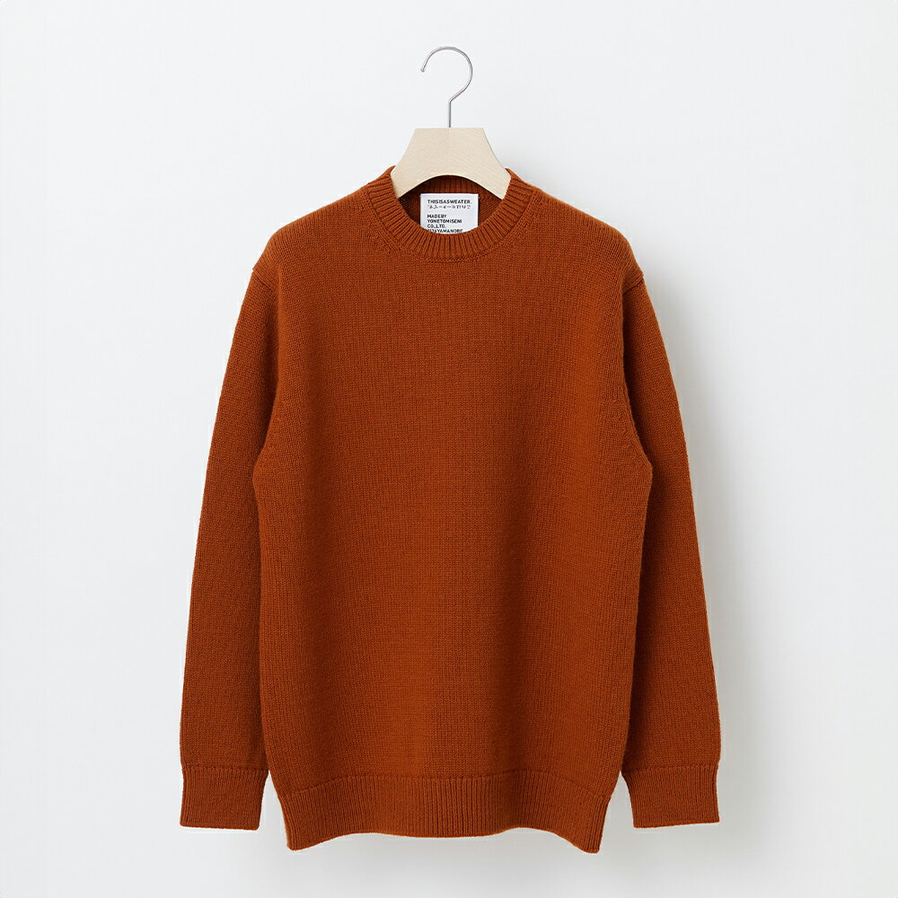 ≪先行予約≫【THISISASWEATER.】A1 : A SWEATER IS ORDINARY BROWN ブラウン カシミヤセーター 服 洋服 ユニセックス メンズ レディース ブランド 山形県 山辺町 送料無料 yt-soxxb ※沖縄・離島への配送不可