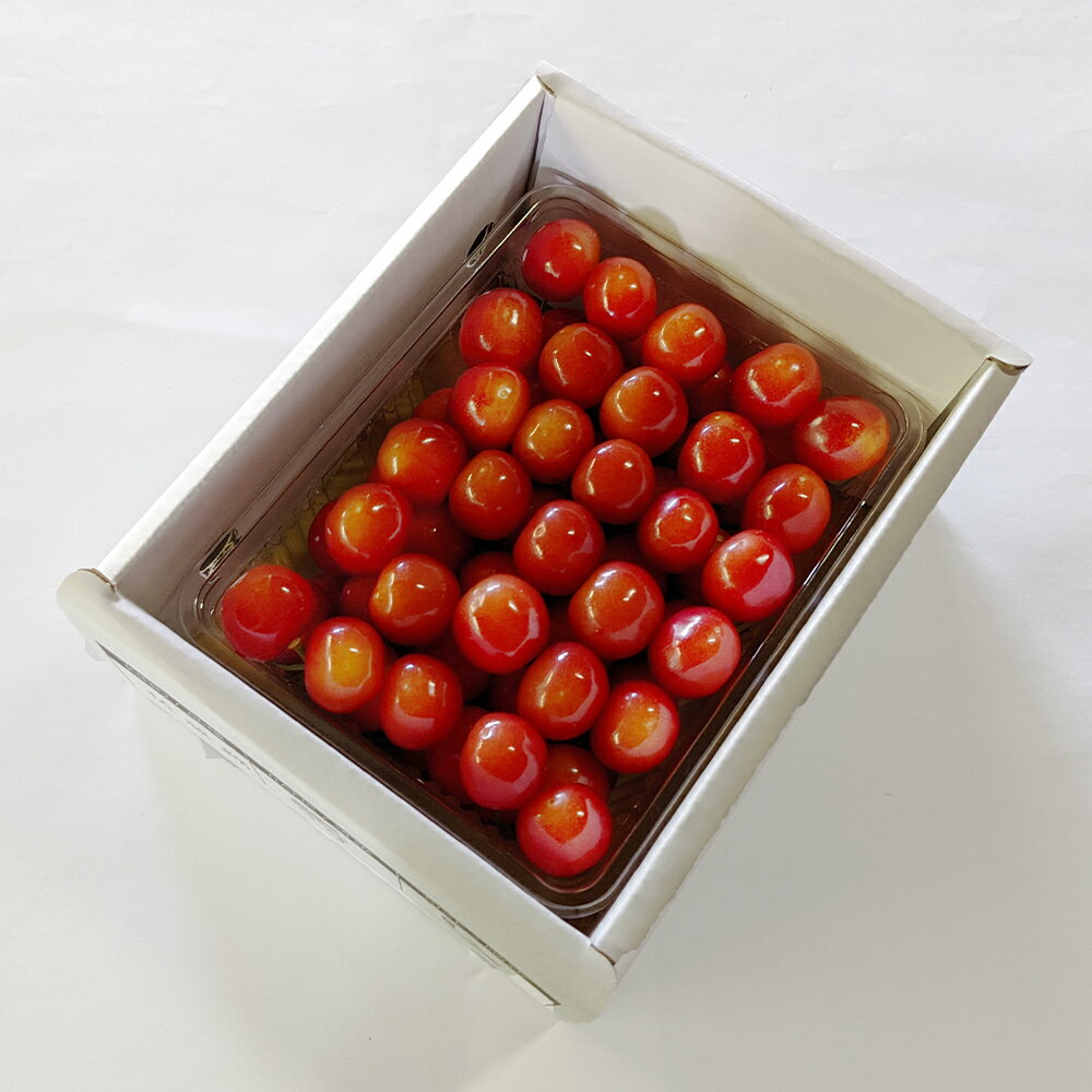 【ふるさと納税】《先行予約》2026年 山形県産 令和8年産 さくらんぼ 佐藤錦 バラ詰 500g 秀 M〜L 送料無料 ※沖縄・離島への配送不可 サムネイル3