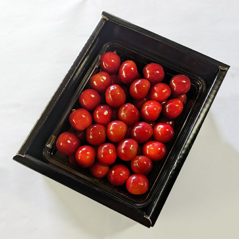 【ふるさと納税】《先行予約》2026年 山形県産 令和8年産 さくらんぼ 佐藤錦 バラ詰 500g 特秀 L以上 送料無料 F20A-897 ※沖縄・離島への配送不可 サムネイル3