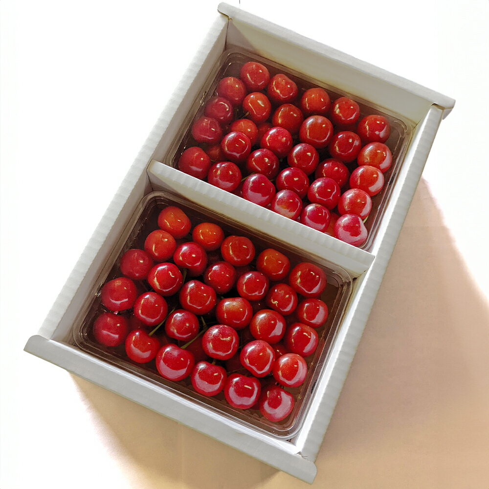 【ふるさと納税】《先行予約》2026年 山形県産 令和8年産 さくらんぼ 佐藤錦 バラ詰1kg 秀 M〜L 送料無料 F20A-898 ※沖縄・離島への配送不可 サムネイル3