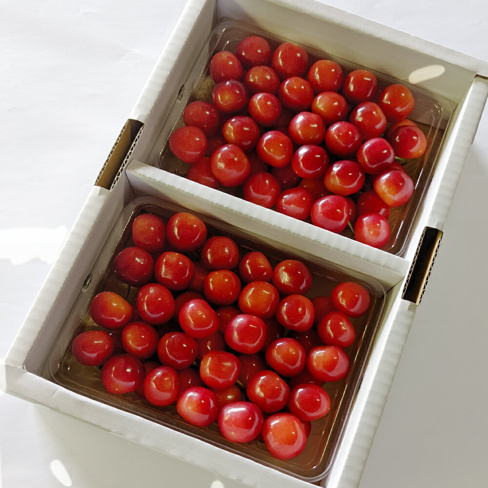 【ふるさと納税】《先行予約》2026年 山形県産 令和8年産 さくらんぼ 佐藤錦 バラ詰 700g 秀 M〜L 送料無料 F20A-918 ※沖縄・離島への配送不可 サムネイル3