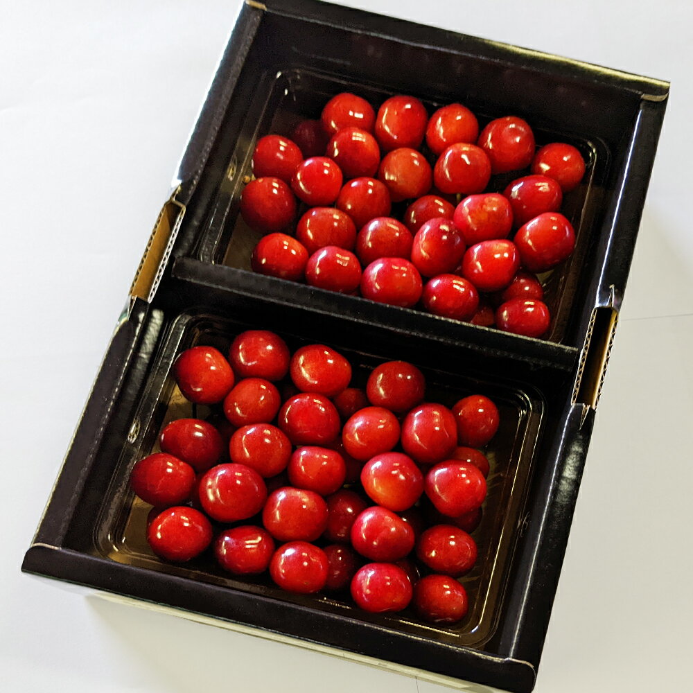 【ふるさと納税】《先行予約》2026年 山形県産 令和8年産 さくらんぼ 佐藤錦 バラ詰 700g 特秀 L以上 送料無料 F20A-919 ※沖縄・離島への配送不可 サムネイル3