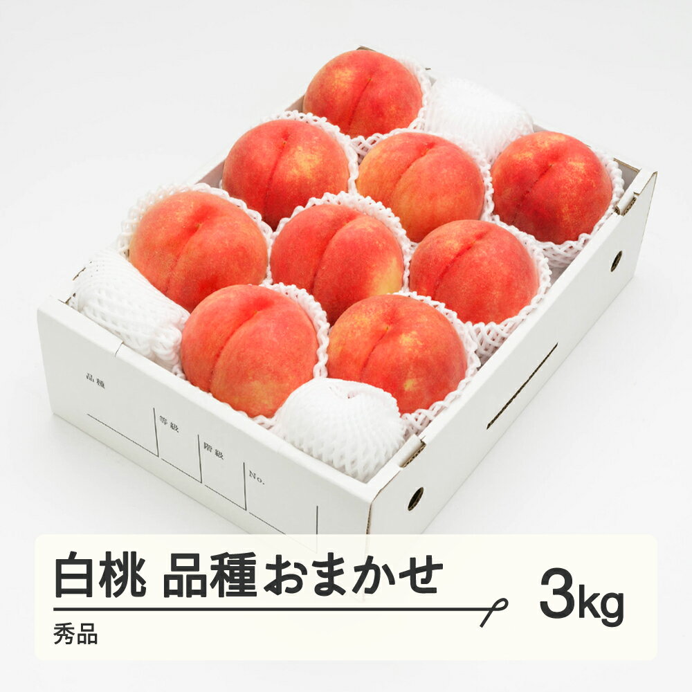 先行予約 もも 白桃 秀品 品種おまかせ 化粧箱入り 約3kg 令和8年産 2026年産 山形県産 果物 送料無料 ns-mohtx3 ※沖縄・離島への配送不可