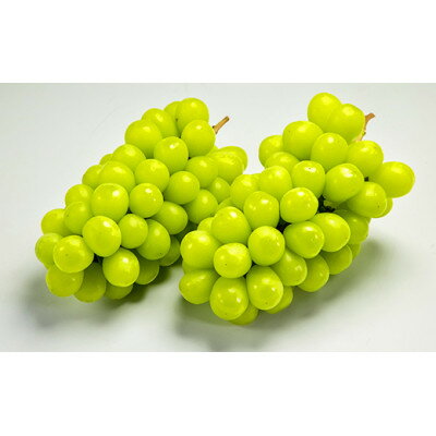 【ふるさと納税】 《先行予約》2026年 山形県産 シャインマスカット （2〜3房入り） やまのべ多田農園のぶどう 送料無料 F20A-894 サムネイル2