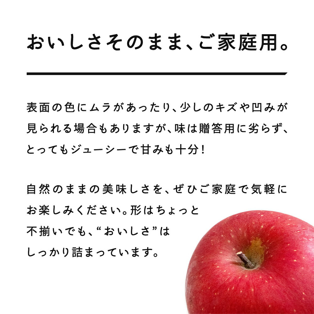 【ふるさと納税】先行予約 2025年 山形県産 ご家庭用 ふじ りんご 5kg（10～20個） 2025年11月下旬頃から順次発送 送料無料 ※沖縄・離島への配送不可 tj-risfk5 サムネイル2