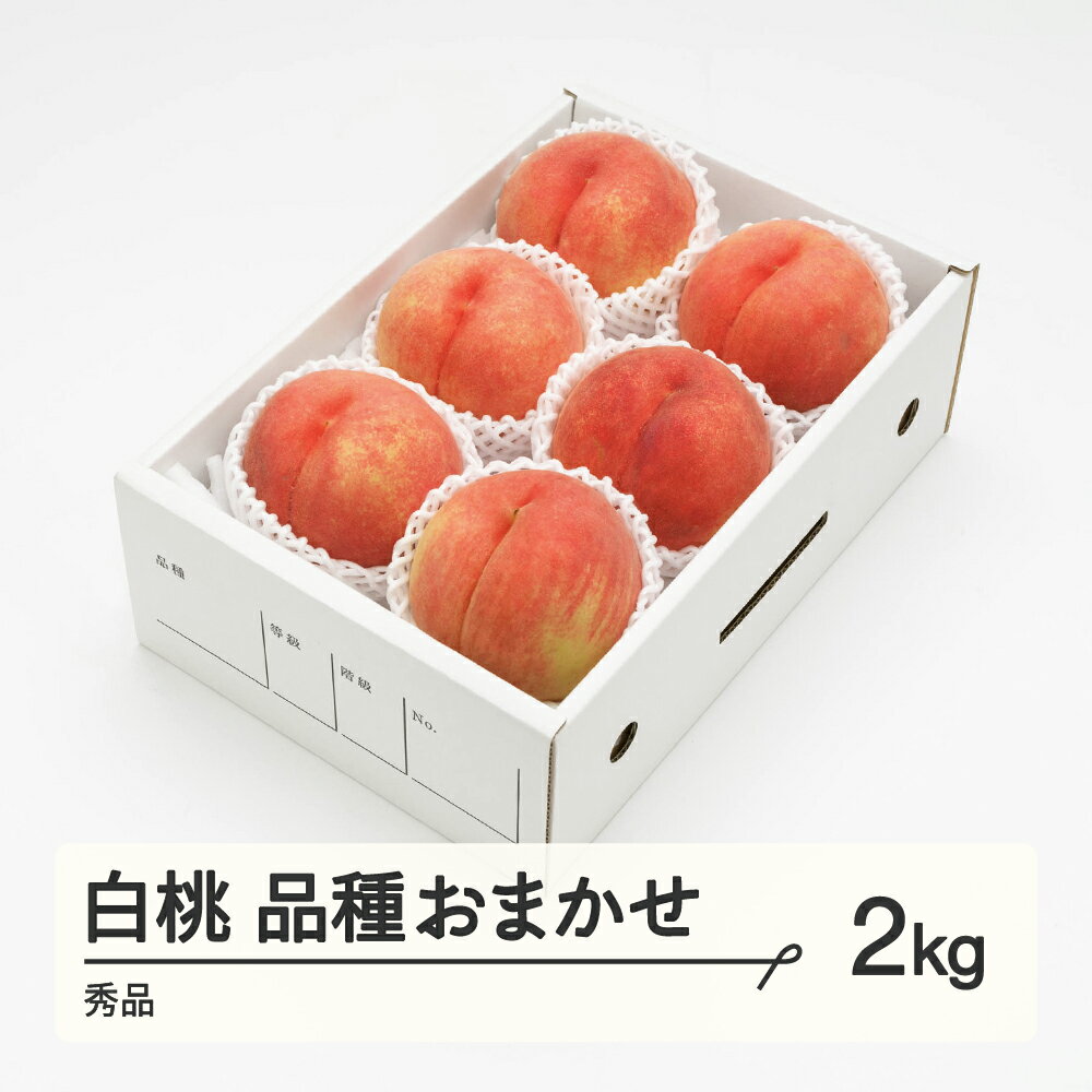 【先行予約】《10月以降寄附額改定予定》もも 白桃 秀品 品種おまかせ 化粧箱入り 約2kg 令和8年産 2026年産 山形県産 果物 送料無料 ns-mohtx2 ※沖縄・離島への配送不可 10月以降値上げ 値上げ