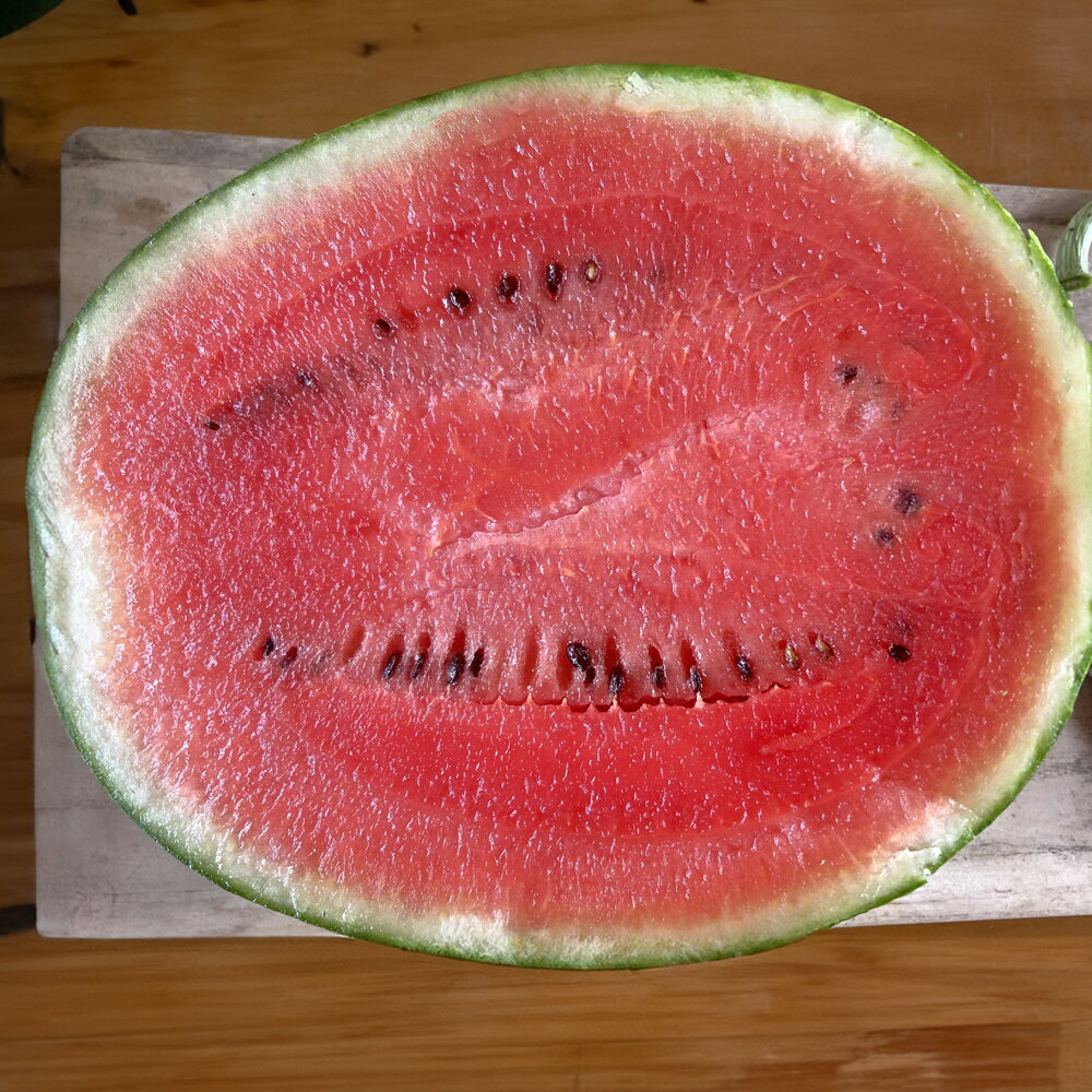 【ふるさと納税】 《先行予約》2026年 山形県産 お子さんに大人気！小玉スイカ「ピノガール」 1玉（2kg以上） すいか スイカ 西瓜 フルーツ 果物 野菜 送料無料 F21A-245 サムネイル2