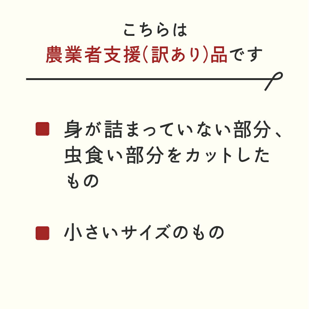 【ふるさと納税】 ≪先行予約≫ 農業者支援 ご家庭用 2026年 山形県産 ホワイトコーン ピュアホワイト 1.9kg 生で味わう 白とうもろこし トウモロコシ コーン 夏 野菜 やさい ※沖縄・離島への配送不可 送料無料 ot-cnwwx2 - 画像2