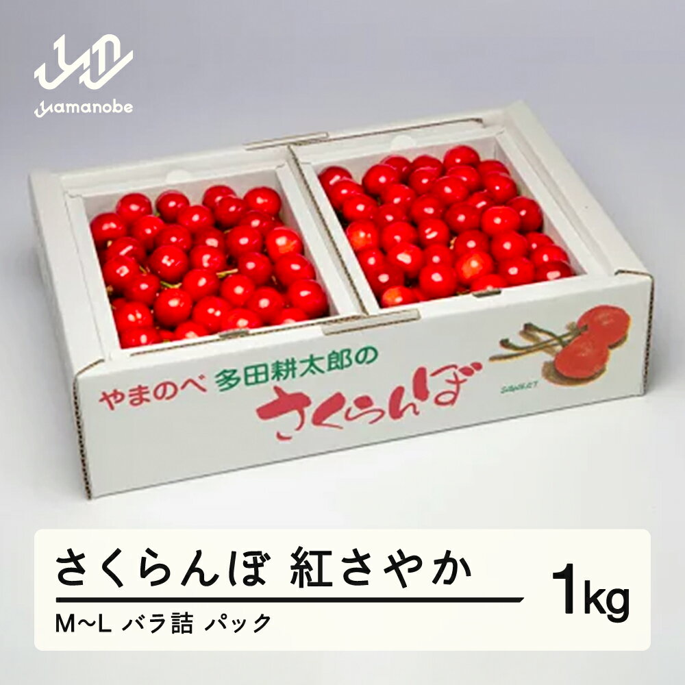 《先行予約》2026年 山形県産 紅さやか バラ詰め(パック）1kg M~L やまのべ多田耕太郎のさくらんぼ 送料無料 F20A-037