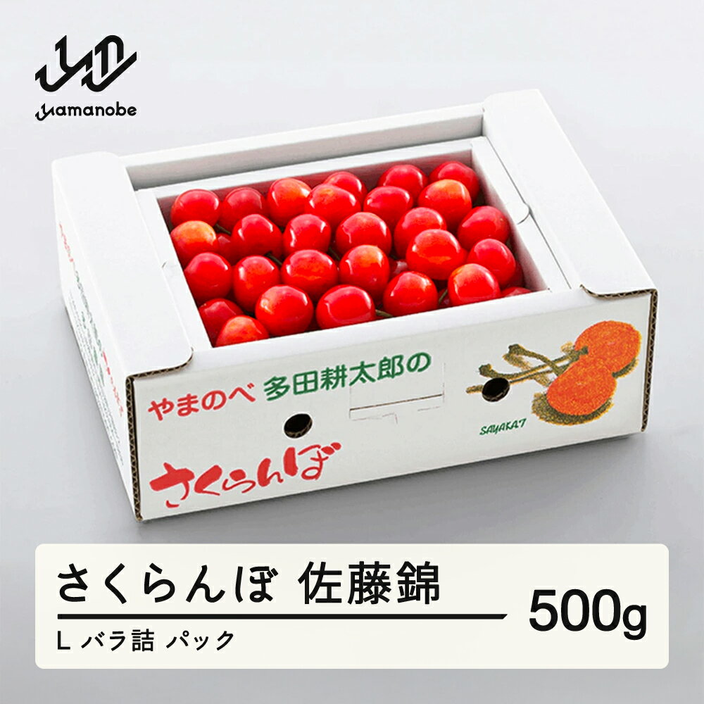 《先行予約》 2026年 山形県産 佐藤錦 バラ詰め(パック）500g やまのべ多田耕太郎のさくらんぼ サクランボ 多田農園 予約 フルーツ くだもの 果物 デザート 山形県 山辺町 送料無料 F20A-038