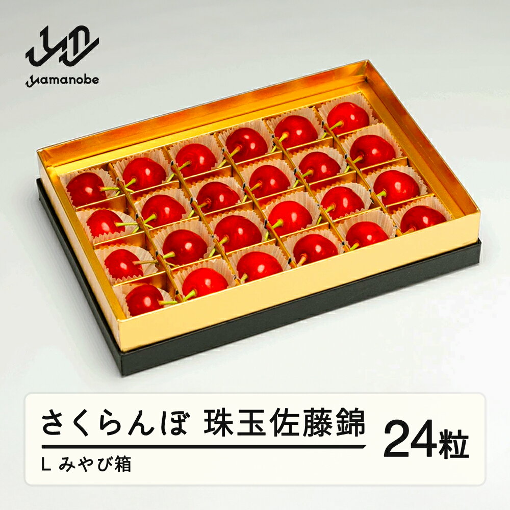 《先行予約》 2026年 山形県産 珠玉佐藤錦 みやび箱24粒 やまのべ多田耕太郎のさくらんぼ サクランボ 送料無料 F20A-039