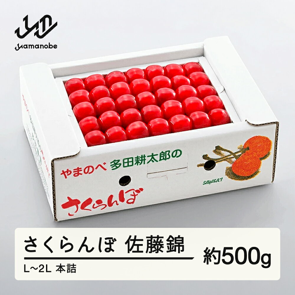 《先行予約》 2026年 山形県産 佐藤錦 本詰め 約500g L~2L やまのべ多田耕太郎のさくらんぼ サクランボ 送料無料 F20A-042