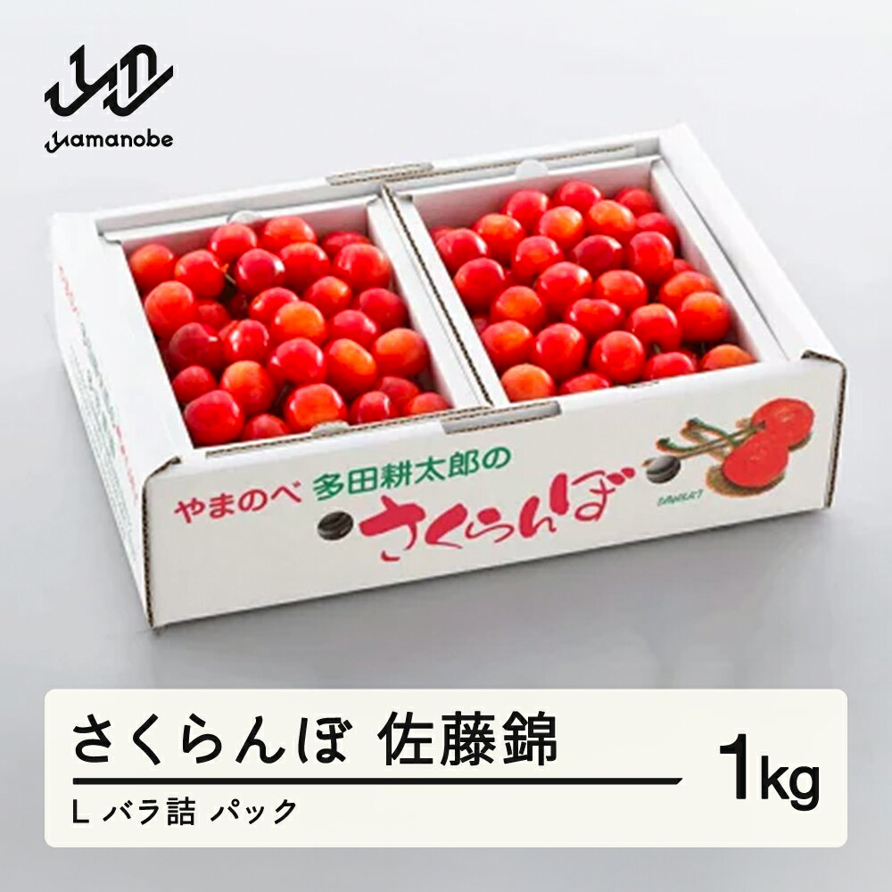 《先行予約》 2026年 山形県産 佐藤錦 バラ詰め（パック）1kg やまのべ多田耕太郎のさくらんぼ サクランボ 送料無料 F20A-048