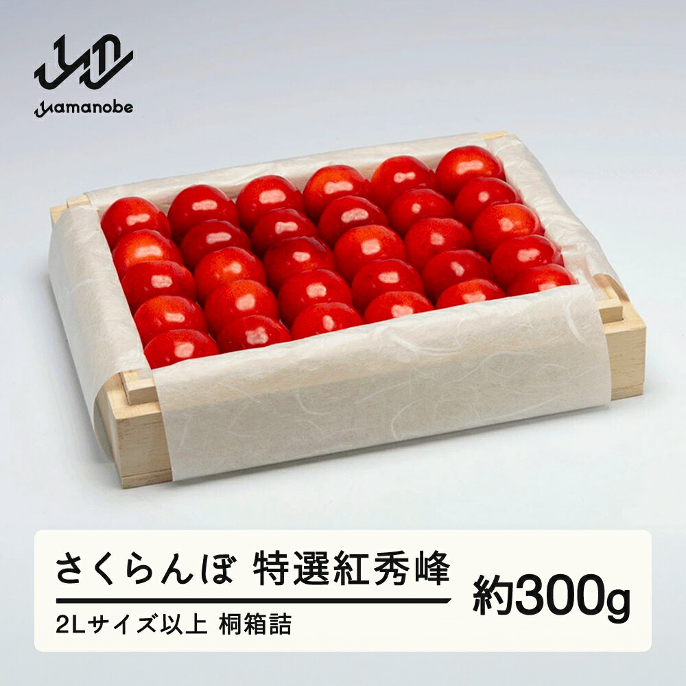 《先行予約》 2026年 山形県産 特選紅秀峰 桐箱詰め 約300g 2L以上 やまのべ多田耕太郎のさくらんぼ サクランボ ギフト 贈答 贈り物 送料無料 F20A-049
