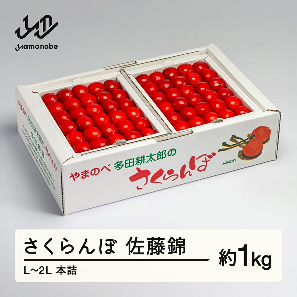 《先行予約》 2026年 山形県産 佐藤錦 本詰 L~2L 約1kg やまのべ多田耕太郎のさくらんぼ サクランボ 送料無料 F20A-053