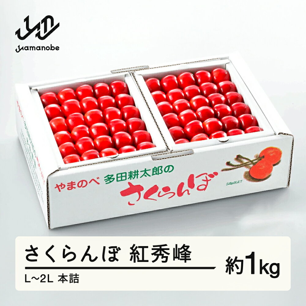 《先行予約》 2026年 山形県産 紅秀峰 本詰約1kg L~2L やまのべ多田耕太郎のさくらんぼ サクランボ 送料無料 F20A-054