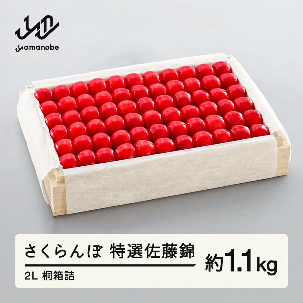 《先行予約》2026年 山形県産 特選佐藤錦 桐箱詰め 約1100g やまのべ多田耕太郎のさくらんぼ サクランボ 送料無料 F20A-060