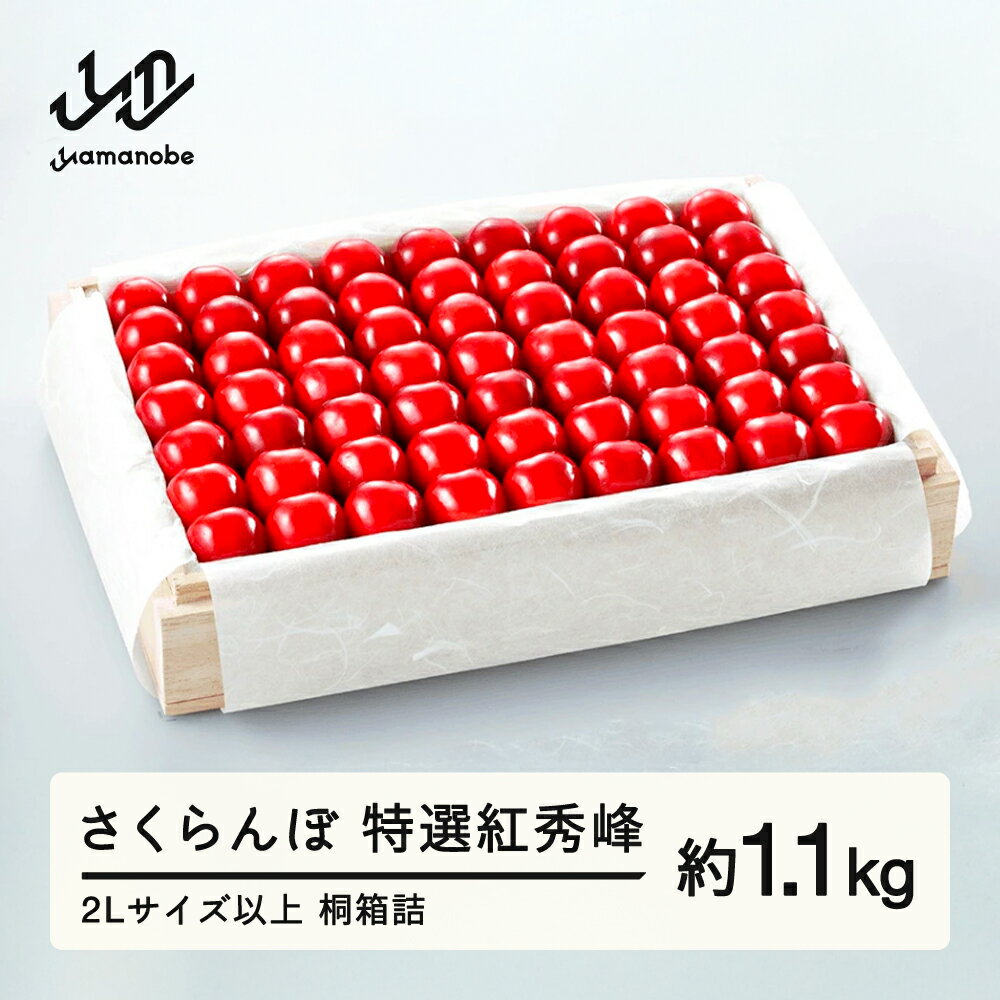 《先行予約》2026年 山形県産 特選紅秀峰 桐箱詰め 約1100g 2L以上 やまのべ多田耕太郎のさくらんぼ サクランボ ギフト 贈答 贈り物 送料無料 F20A-061