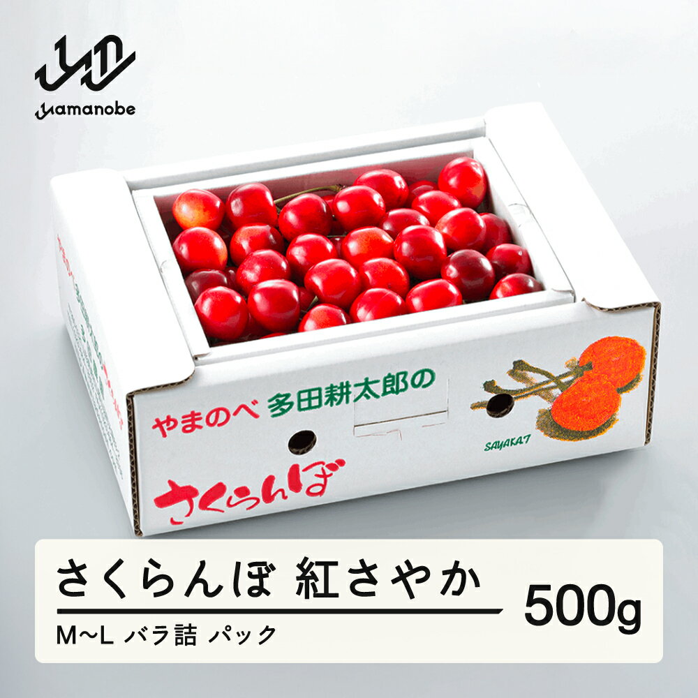 《先行予約》2026年 山形県産 紅さやか バラ詰め(パック）500g M~L やまのべ多田耕太郎のさくらんぼ サクランボ 送料無料 F21A-393