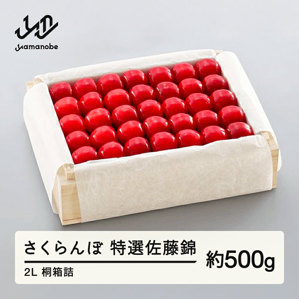 《先行予約》2026年 山形県産 特選佐藤錦 桐箱詰め 約500g 2L やまのべ多田耕太郎のさくらんぼ サクランボ 送料無料 F20A-505