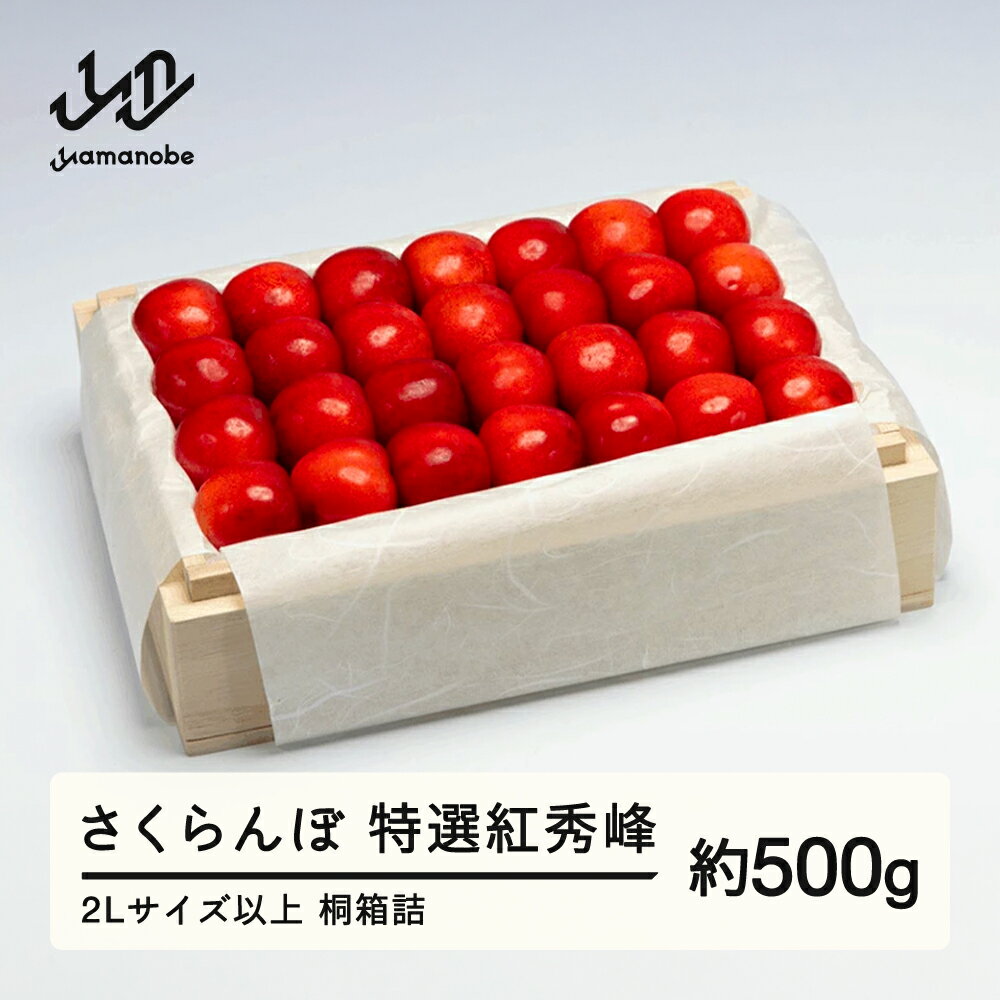 《先行予約》2026年 山形県産 特選紅秀峰 桐箱詰め 約500g やまのべ多田耕太郎のさくらんぼ サクランボ ギフト 贈答 贈り物 送料無料 F20A-790