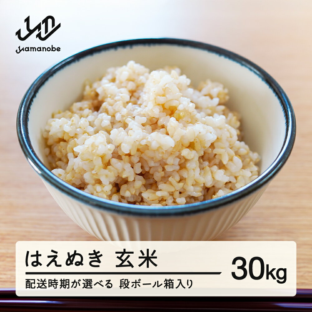 【発送時期が選べる】≪先行予約≫ 2025年産 令和7年産 山形県産 はえぬき 玄米 30kg（段ボール箱入り）お米 ブランド米 こめ コメ 送料無料 ※沖縄・離島への配送不可 ff-hagxb30