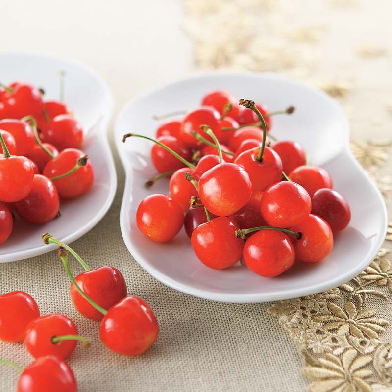 【ふるさと納税】 先行予約 2026年度発送【山形県さくらんぼ定期便3回】山形県産さくらんぼ3品種（紅さやか・佐藤錦・紅秀峰） F4A-0386 サムネイル2