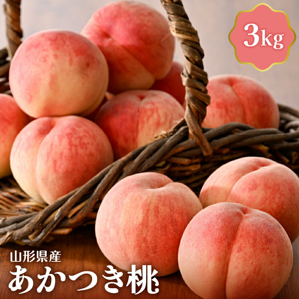 【令和8年産】 桃 あかつき 3kg 白桃 国産 山形 モモ もも ピーチ フルーツ 果物 果肉 青果 冷蔵便 産地直送 お取り寄せ グルメ 送料無料 東北 山形県 河北町 【JAさがえ西村山】