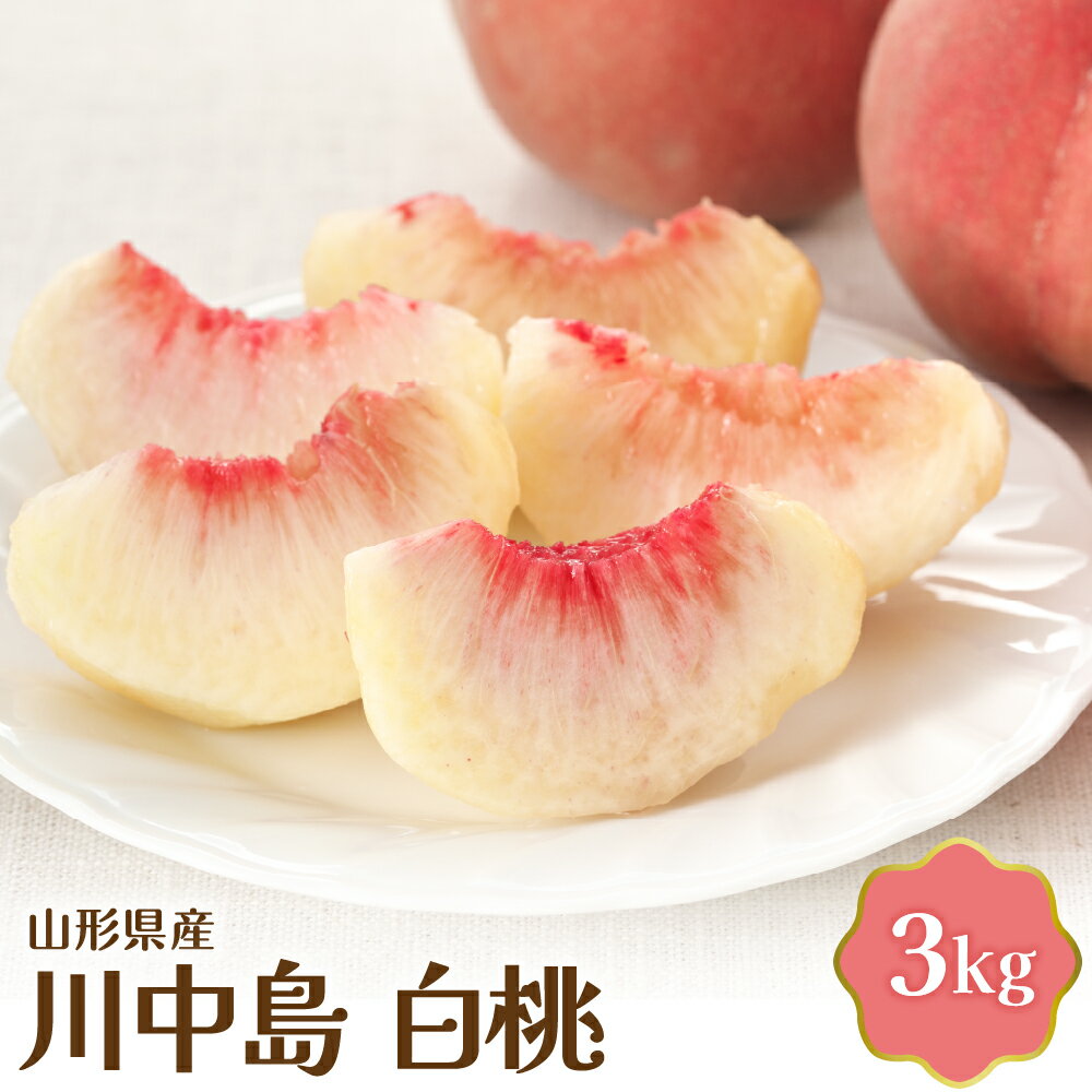 ＼高評価★4.25／【令和8年産】桃 川中島 白桃 3kg | 大玉 国産 もも ピーチ 冷蔵 フルーツ 果物 果肉 青果 旬 送料無料 山形 産地直送 お取り寄せ 先行予約 東北 山形県 河北町 【JAさがえ西村山】