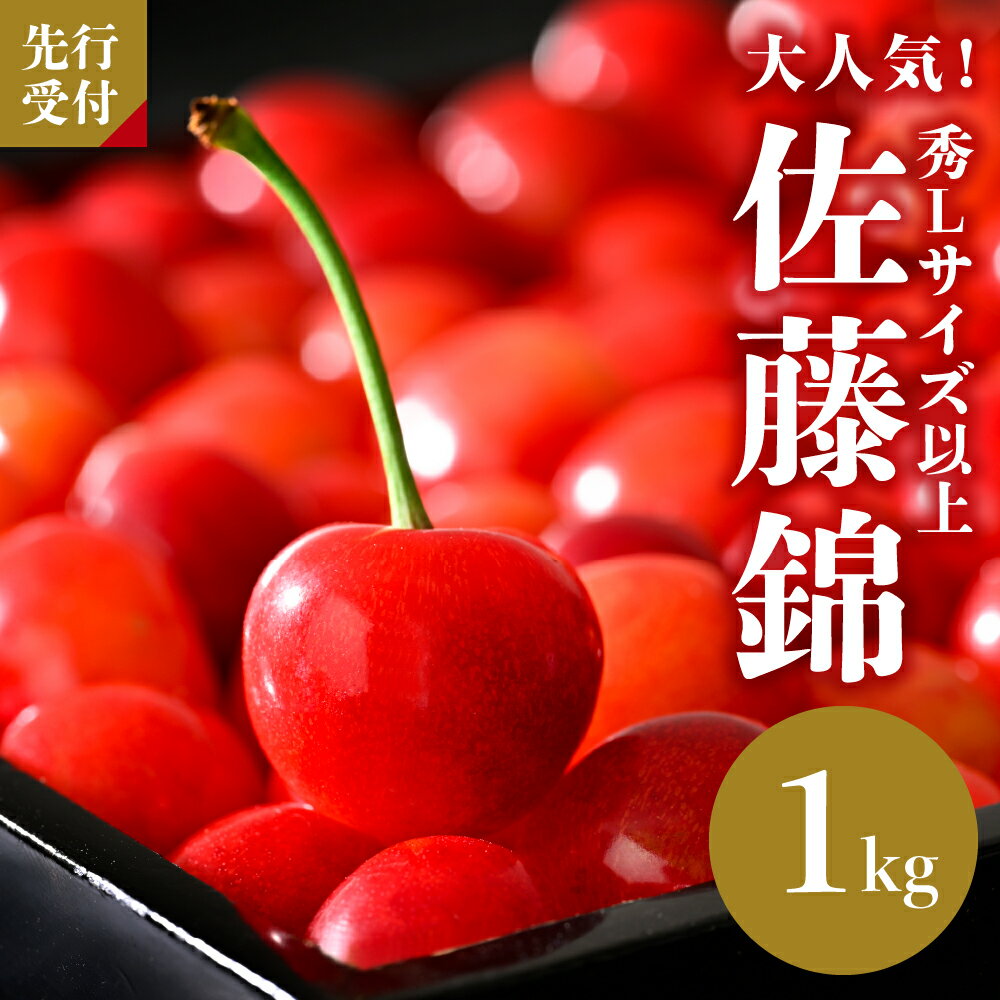 【令和8年産】さくらんぼ「佐藤錦」秀L以上1kgバラ詰 （500g×2パック）| フルーツ 果物 オススメ 人気 バラ 産地直送 送料無料 お取り寄せ 贈答 ギフト プレゼント 初夏 旬 数量限定 先行予約 山形県 河北町