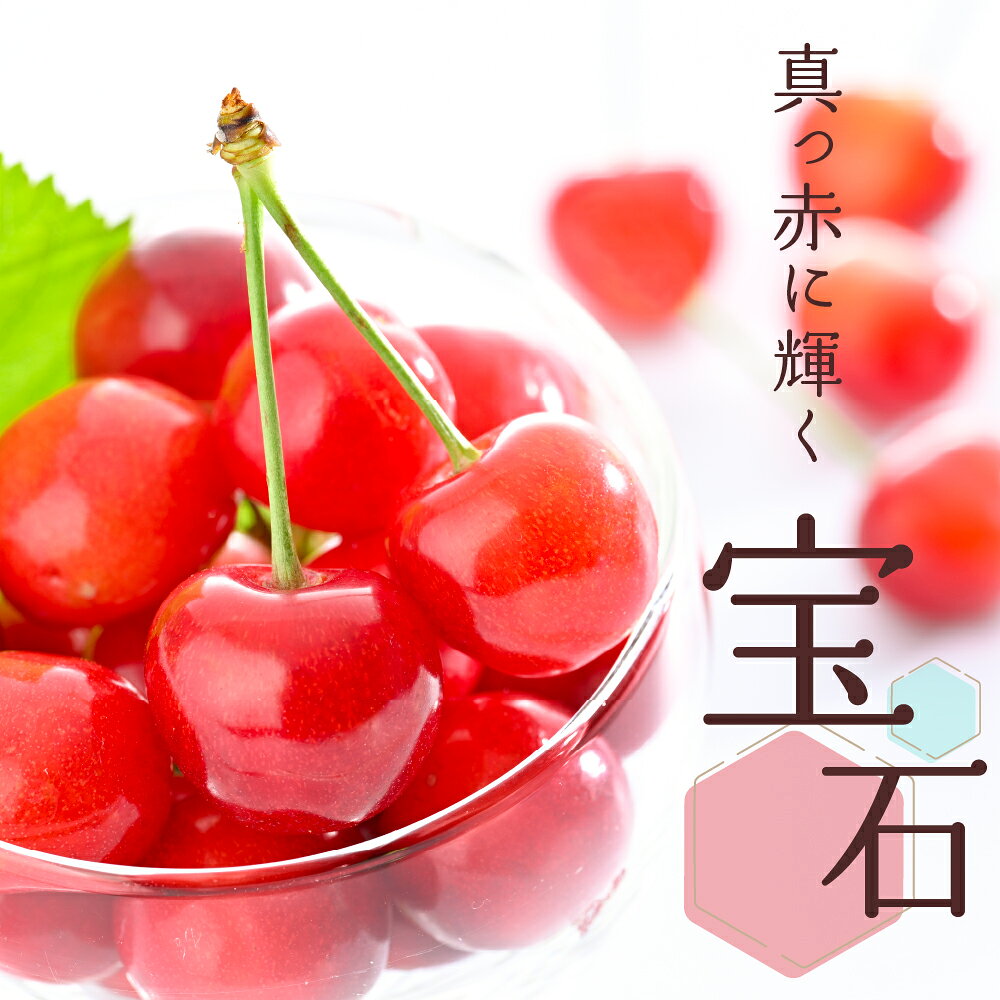 【ふるさと納税】 【令和8年産】さくらんぼ「佐藤錦」秀L以上1kgバラ詰 （500g×2パック）| フルーツ 果物 オススメ 人気 バラ 産地直送 送料無料 お取り寄せ 贈答 ギフト プレゼント 初夏 旬 数量限定 先行予約 山形県 河北町 サムネイル2