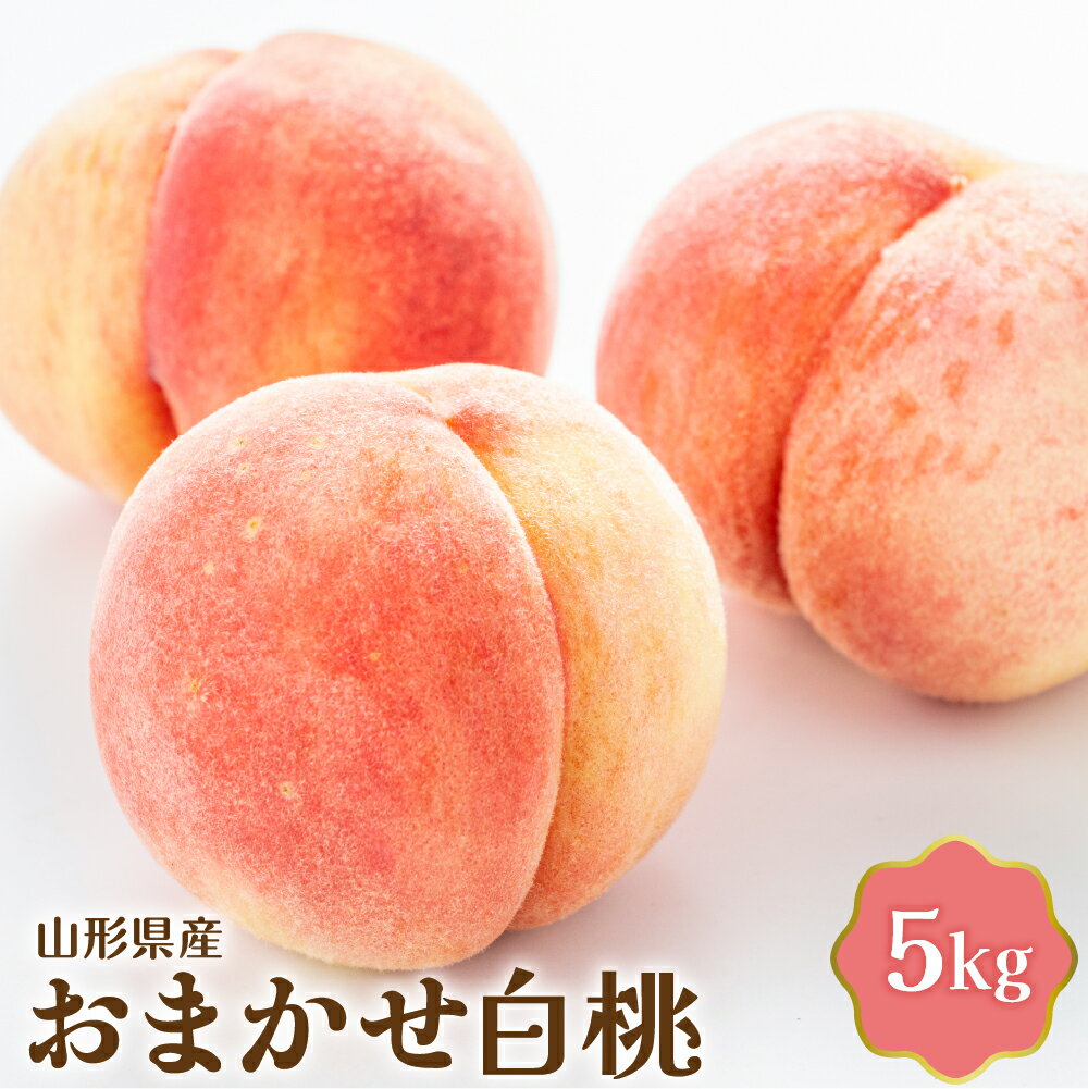 【令和8年産】 おまかせ 白桃 5kg 国産 桃 モモ もも ピーチ 冷蔵便 フルーツ 果物 果肉 青果 お取り寄せ 送料無料 東北 山形県 河北町 【JAさがえ西村山】