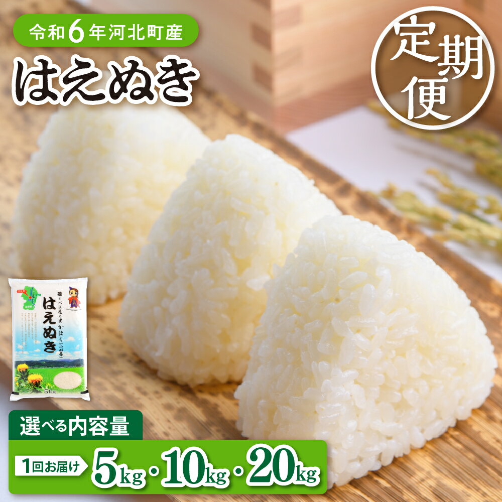 ［ 定期便 ］米 はえぬき ( 選べる内容量 配送時期 : 5kg 10kg 20kg / 10月～6月 )| 令和7年産 2025年 お米 白米 ブランド米 精米 米どころ 弁当 おにぎりご飯 ごはん 大人気 オススメ 大好評 先行予約 先行予約 お取り寄せ 送料無料 山形県 河北町