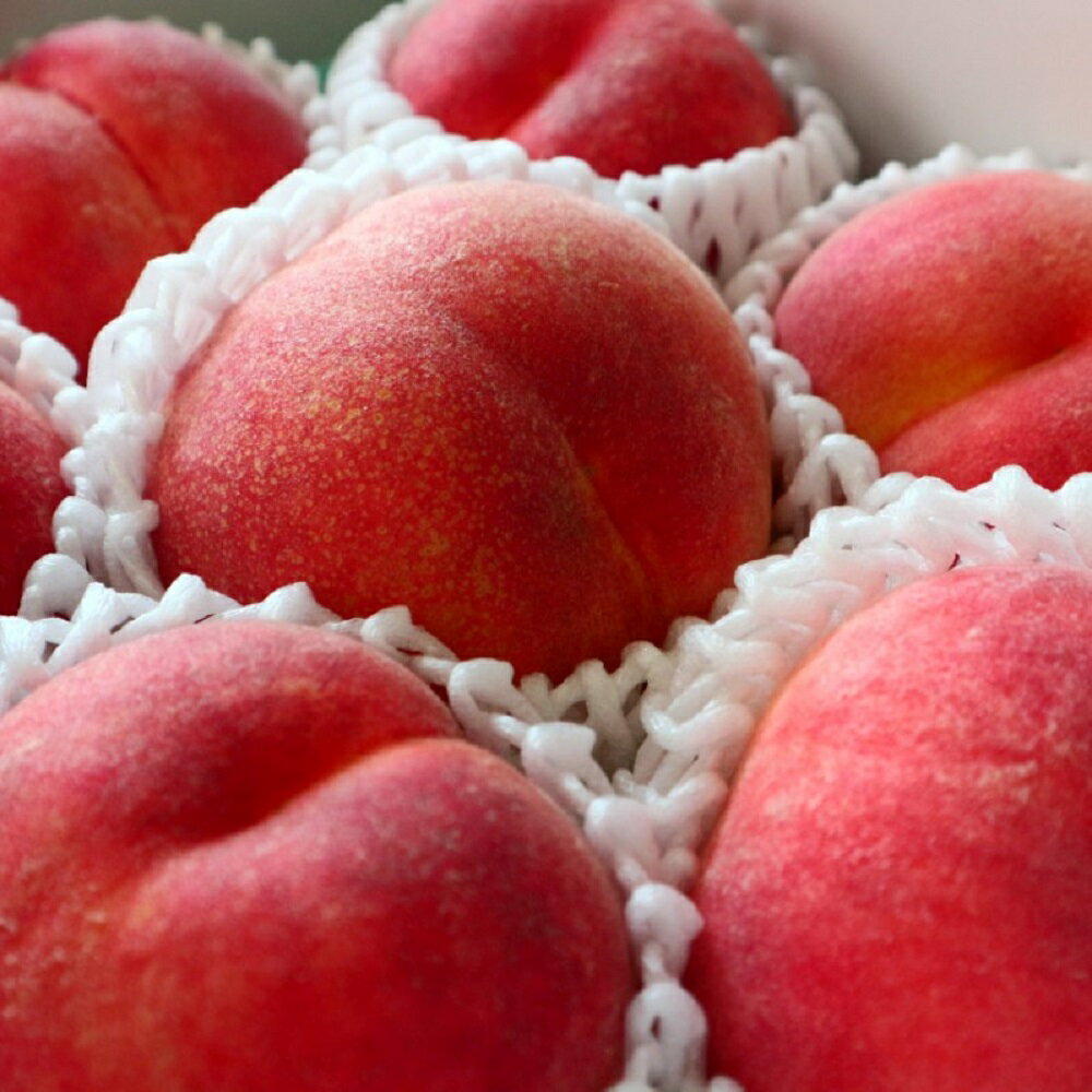 【ふるさと納税】＼高評価★4.25／【令和8年産】桃 川中島 白桃 3kg | 大玉 国産 もも ピーチ 冷蔵 フルーツ 果物 果肉 青果 旬 送料無料 山形 産地直送 お取り寄せ 先行予約 東北 山形県 河北町 【JAさがえ西村山】 サムネイル3