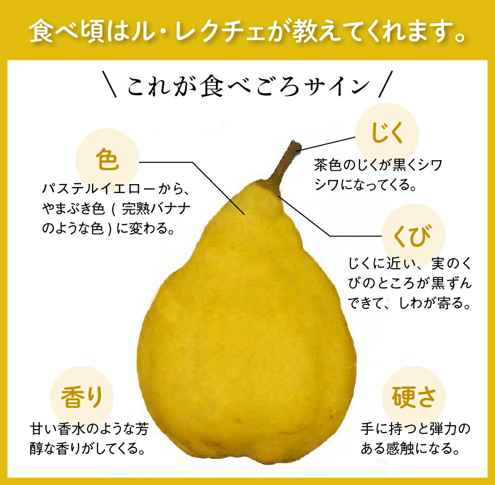 【ふるさと納税】※数量限定※ 【令和7年産】 洋梨 「 ル・レクチェ 」3kg 数量限定 フルーツ 山形県 河北町 産地 直送 送料 無料 贈答 ギフト【かほくらし社】 サムネイル3