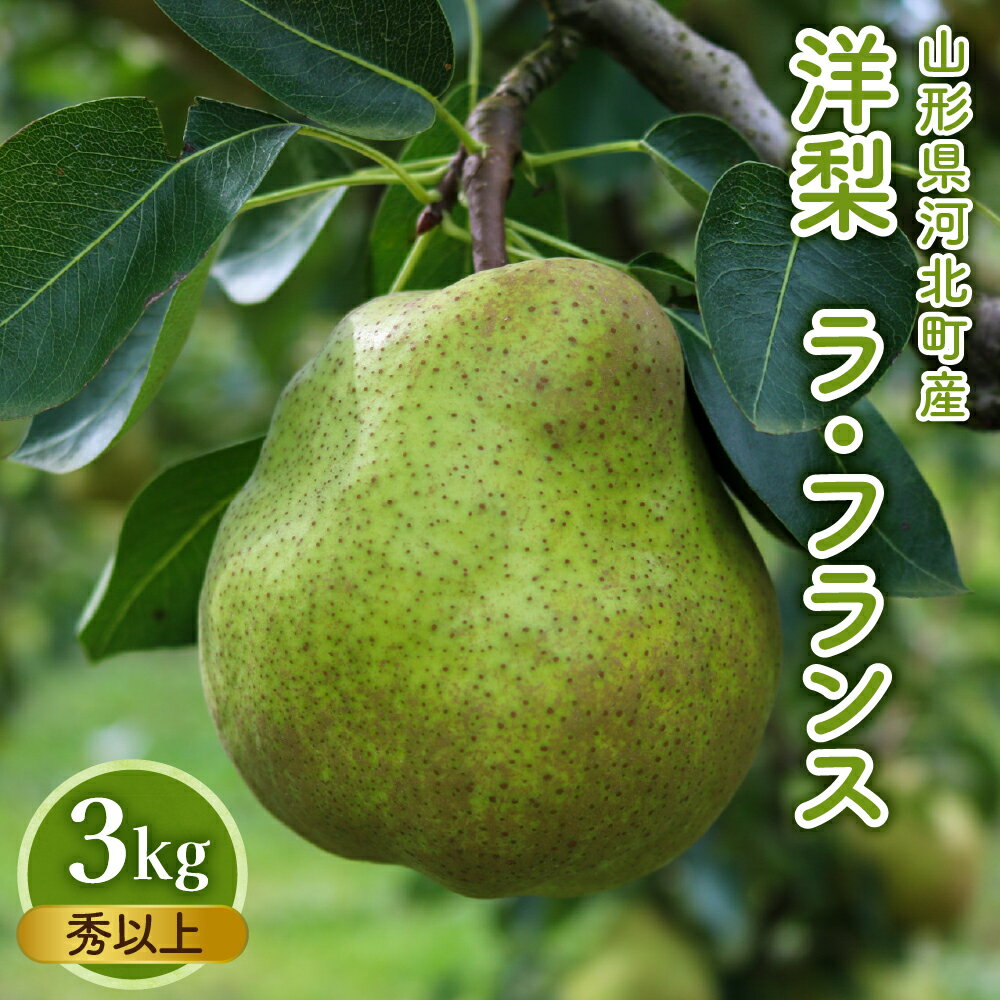 【令和7年産】洋梨「ラ・フランス」 秀以上 3kg【かほくらし社】 果物 果実 フルーツ 山形 洋なし 西洋梨 秋 旬 送料無料 産地直送 お取り寄せ 山形県 河北町【かほくらし社】