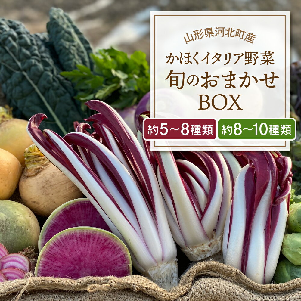 かほくイタリア野菜 旬のおまかせBOX 選べる（約5～8種類 / 約8～10種類 ） 野菜の説明&おしゃれな料理が簡単に作れちゃうレシピ付き♪ 山形県 河北町 野菜 イタリア野菜 イタリアン ベジタブル 詰め合わせ レシピ付き サラダ 健康 送料無料