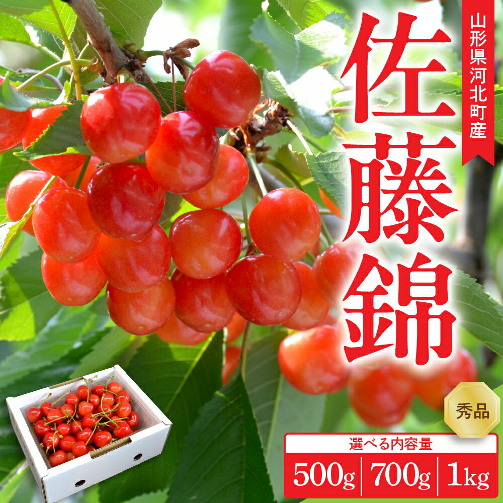 令和8年産 さくらんぼ 佐藤錦 ( 内容量が選べる: 500g / 700g / 1kg ) L玉以上 秀品 ギフト箱入 | 山形県産 フルーツ くだもの 果物 サクランボ 化粧箱 贈り物 ギフト 贈答 産地直送 山形県 河北町