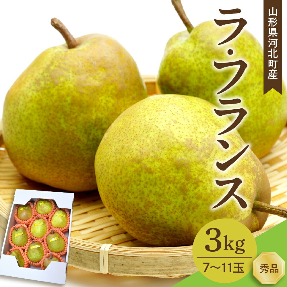 【令和7年産】 洋梨 ラフランス 3kg ( 7～11玉前後 )/ 2025年産 ラ・フランス 西洋梨 なし フルーツ 果物 ギフト 箱入り 山形県 河北町