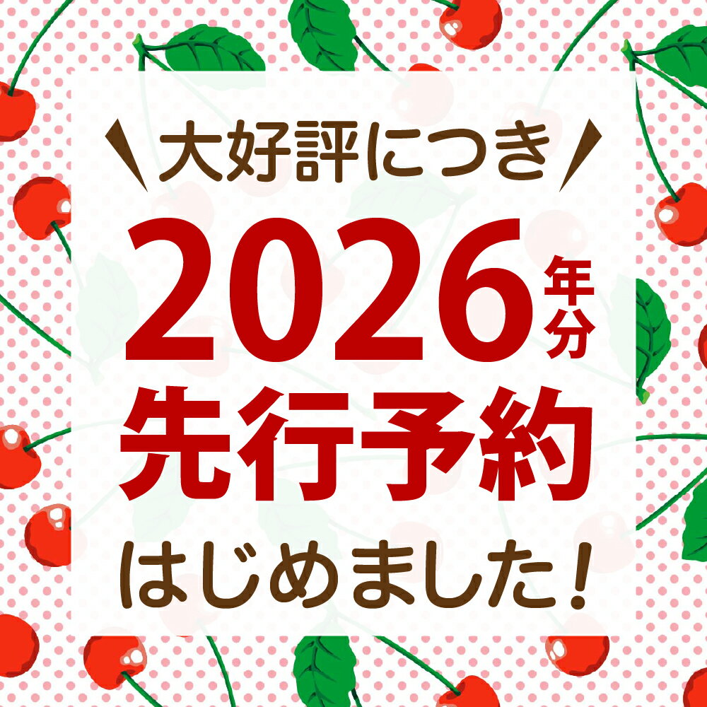 【ふるさと納税】【令和8年産】朝採り＆当日出荷！イチ押し農家さんの朝採りさくらんぼ「佐藤錦」秀品 1kg（500g×2パック）バラ詰め 山形県河北町産【河北町観光物産協会】サクランボ フルーツ 果物 くだもの 送料無料 サムネイル3