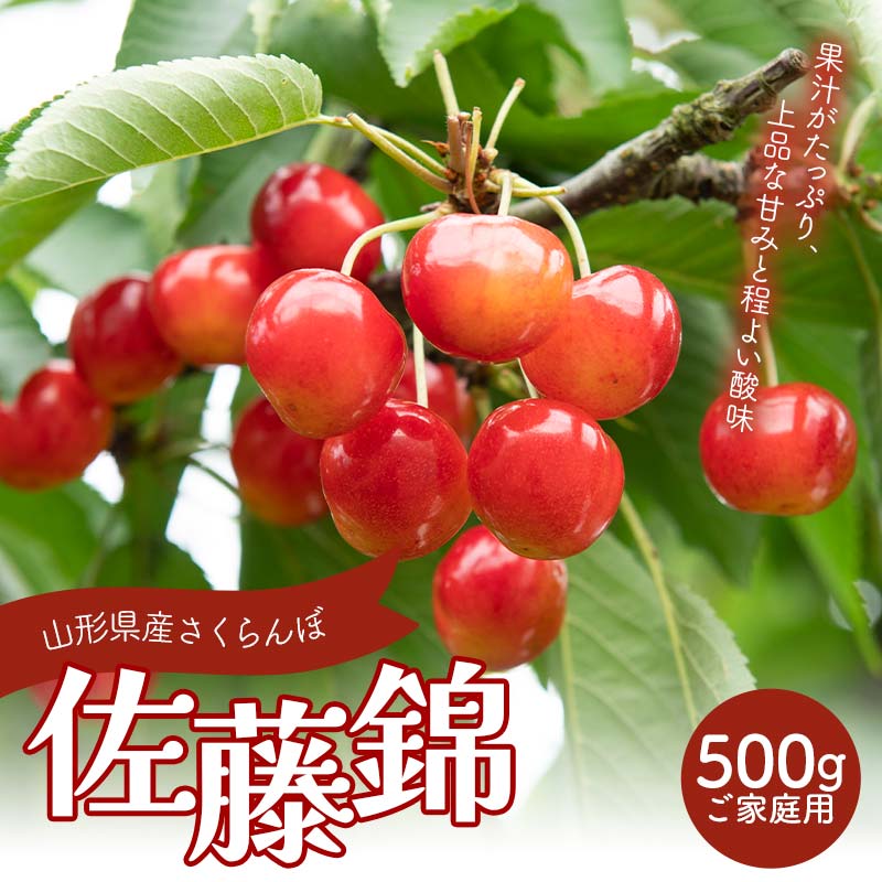 ≪2026年先行予約≫ご家庭用 山形県産 さくらんぼ 佐藤錦 M バラパック詰め 500g 2026年6月上旬から順次発送 果物 くだもの フルーツ 桜桃 サクランボ 小玉 訳あり 家庭用 自宅用 農業者支援 農家支援 山形県 西川町 月山 FYN6-052