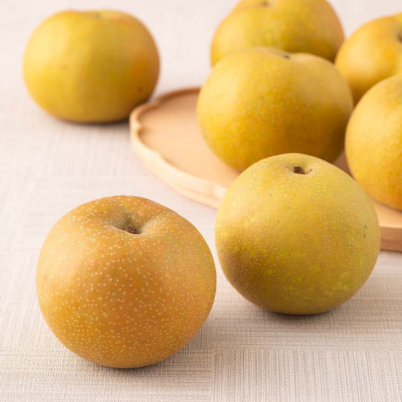 【ふるさと納税】 ≪2026年先行予約≫ 贈答用 山形県産 和梨 約3kg（7～12玉） 秀品 2026年8月中旬頃から順次発送 幸水 こうすい 豊水 ほうすい 梨 夏果実 果物 くだもの フルーツ ギフト箱 化粧箱 ギフト プレゼント 贈り物 産地直送 西川町 月山 FYN6-074 サムネイル2